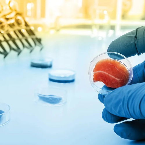 凱愛瑞發布2022全球風味圖譜，帝斯曼成立新食品飲料事業部——有料Weekly技術交流