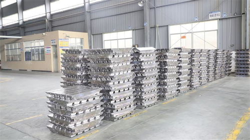 鉛程萬(wàn)里行 第四站 江西禾田新能源科技 技術(shù)交流